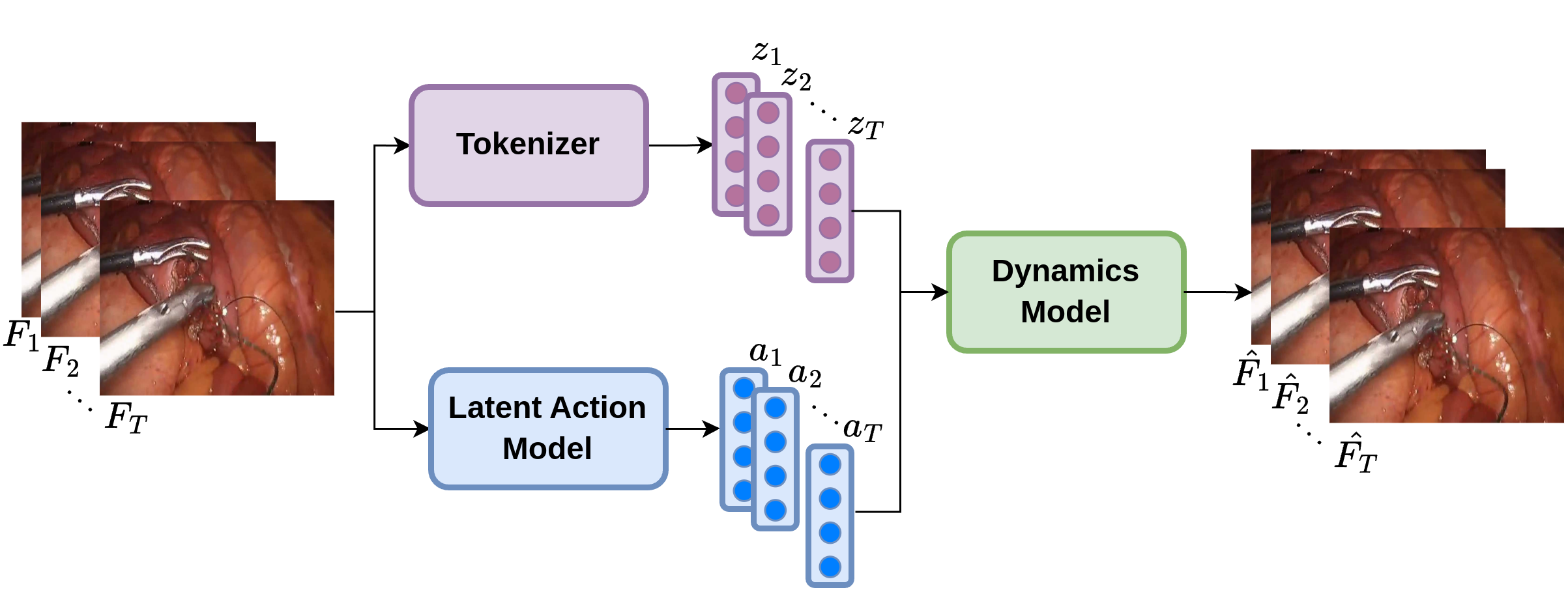 eg. Surgical Vision World Model